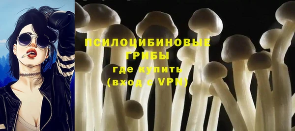 герыч Каменногорск