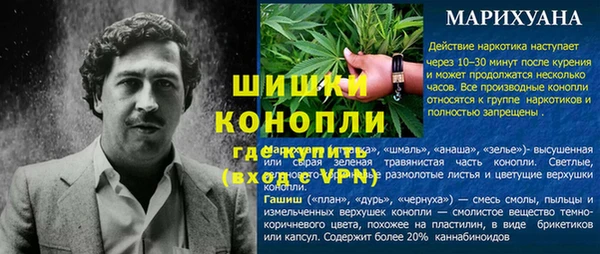 бошки Каменка