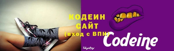 бошки Каменка