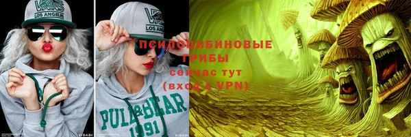 герыч Каменногорск