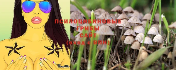 бошки Каменка