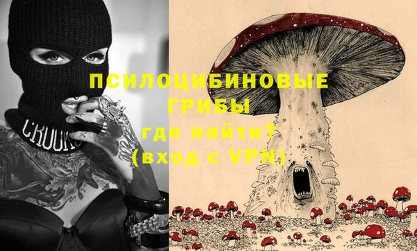 бошки Каменка