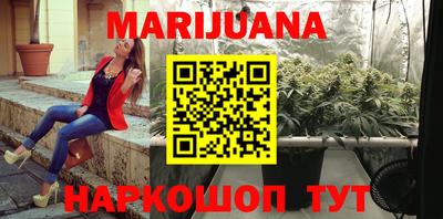 стаф Можга