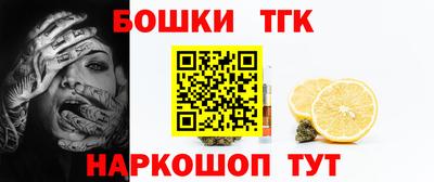 стаф Можга