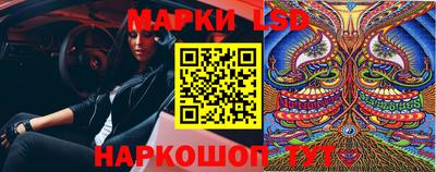 стаф Можга