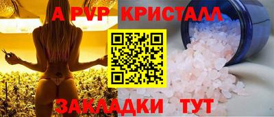 стаф Можга