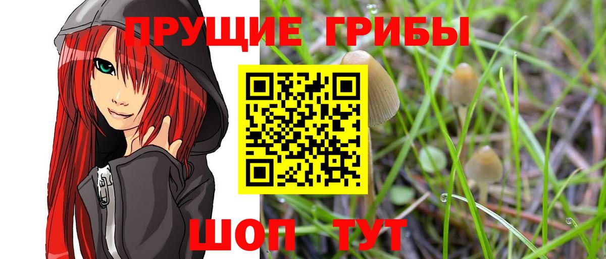 Псилоцибиновые грибы MAGIC MUSHROOMS Строитель