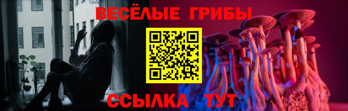 даркнет сайт  Вход с VPN  Строитель  Псилоцибиновые грибы GOLDEN TEACHER  Псилоцибиновые грибы MAGIC MUSHROOMS 